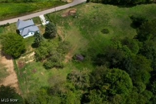 73475 Broadhead Road Kimbolton, OH 43749 - Photo 23 of 30 Bird's eye view