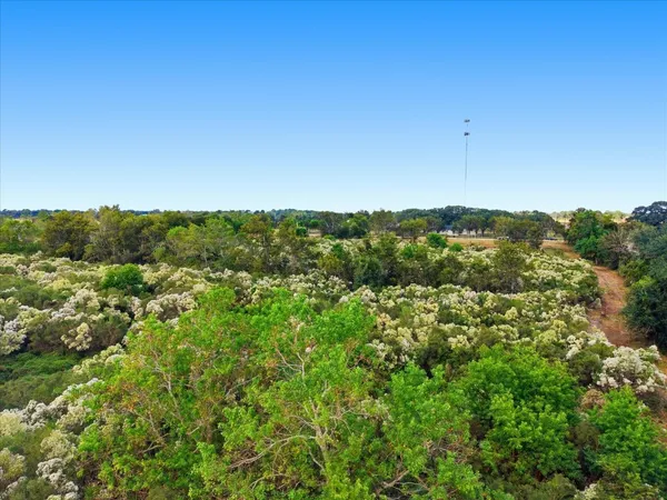 $150,000 | Lot 9 Cow Creek Road, Damon, TX 77430
