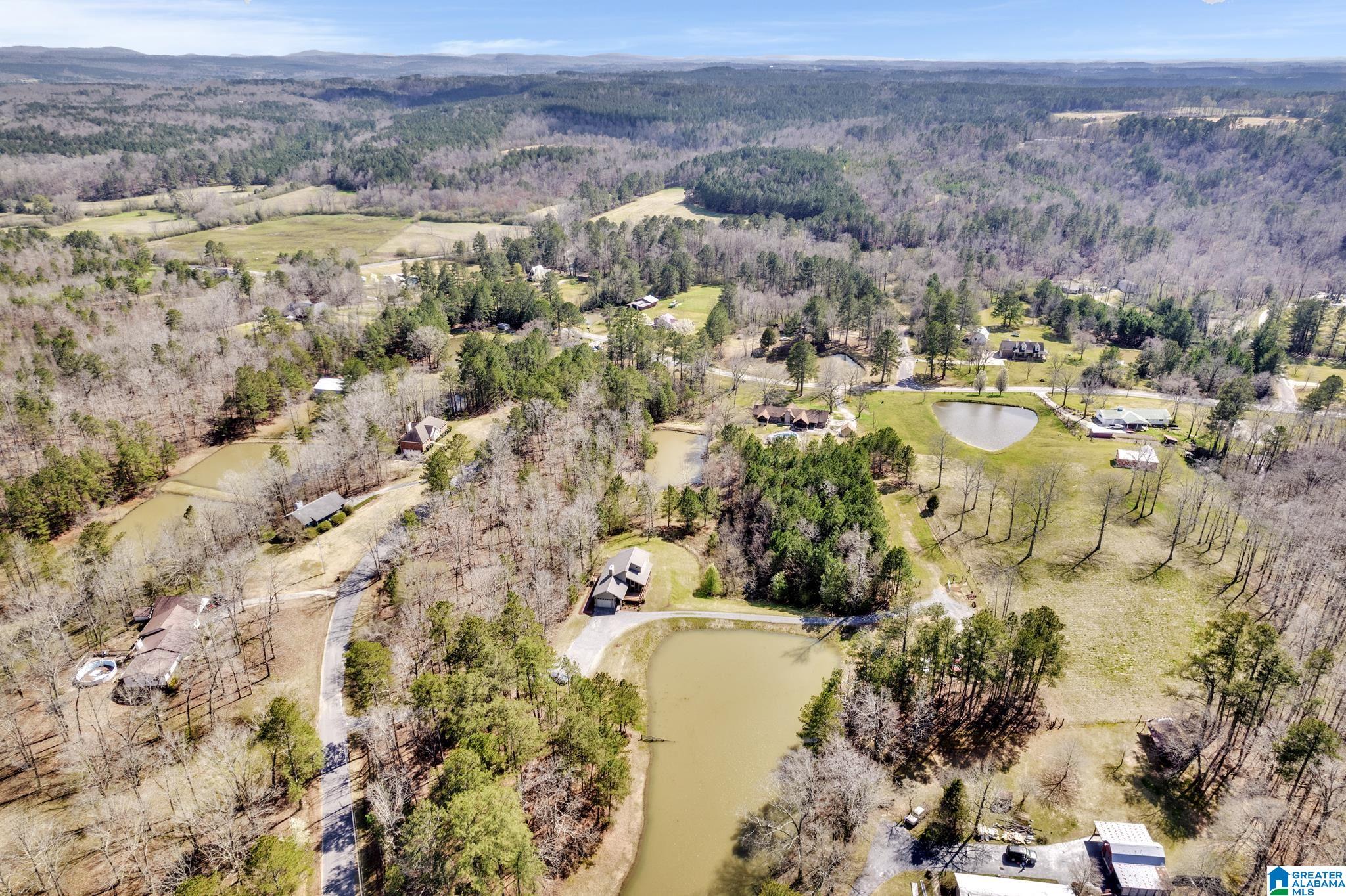 175 Skyview Trail Trafford, AL 35172 - Photo 41 of 50