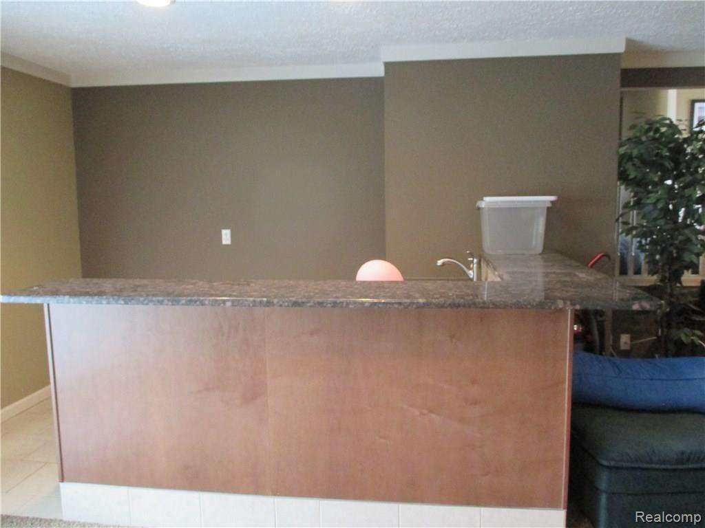 623 Snowmass Drive Rochester, MI 48309 - Photo 20 of 38 IMG_1841.JPG