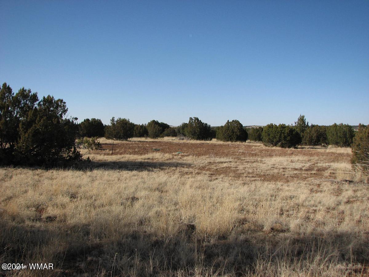 Lot 297 Chevelon Canyon Ranch Overgaard, AZ 85933 - Photo 1 of 1