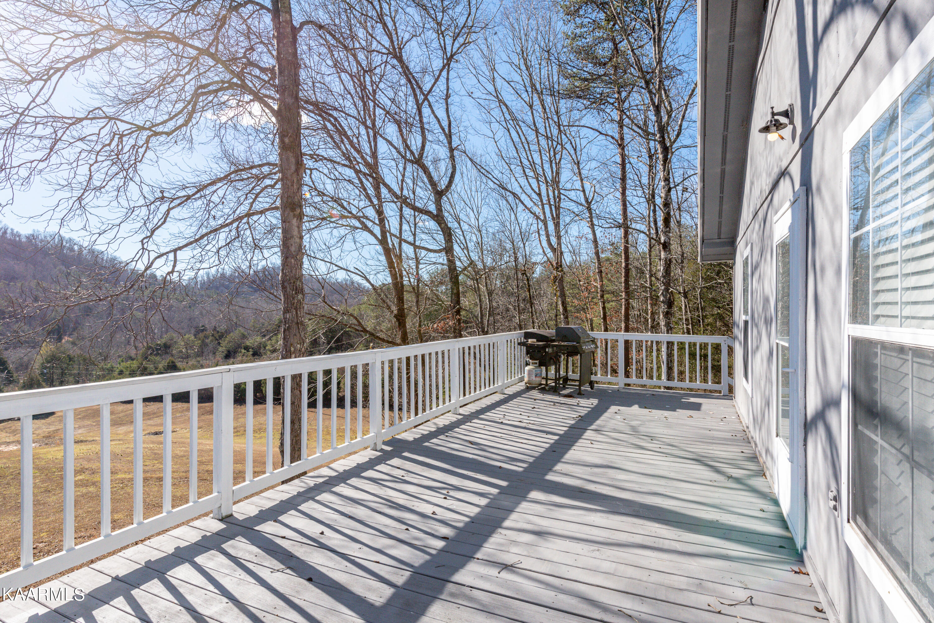 1495 Reagan Valley Road Tellico Plains, TN 37385 - Photo 7 of 26 Back deck