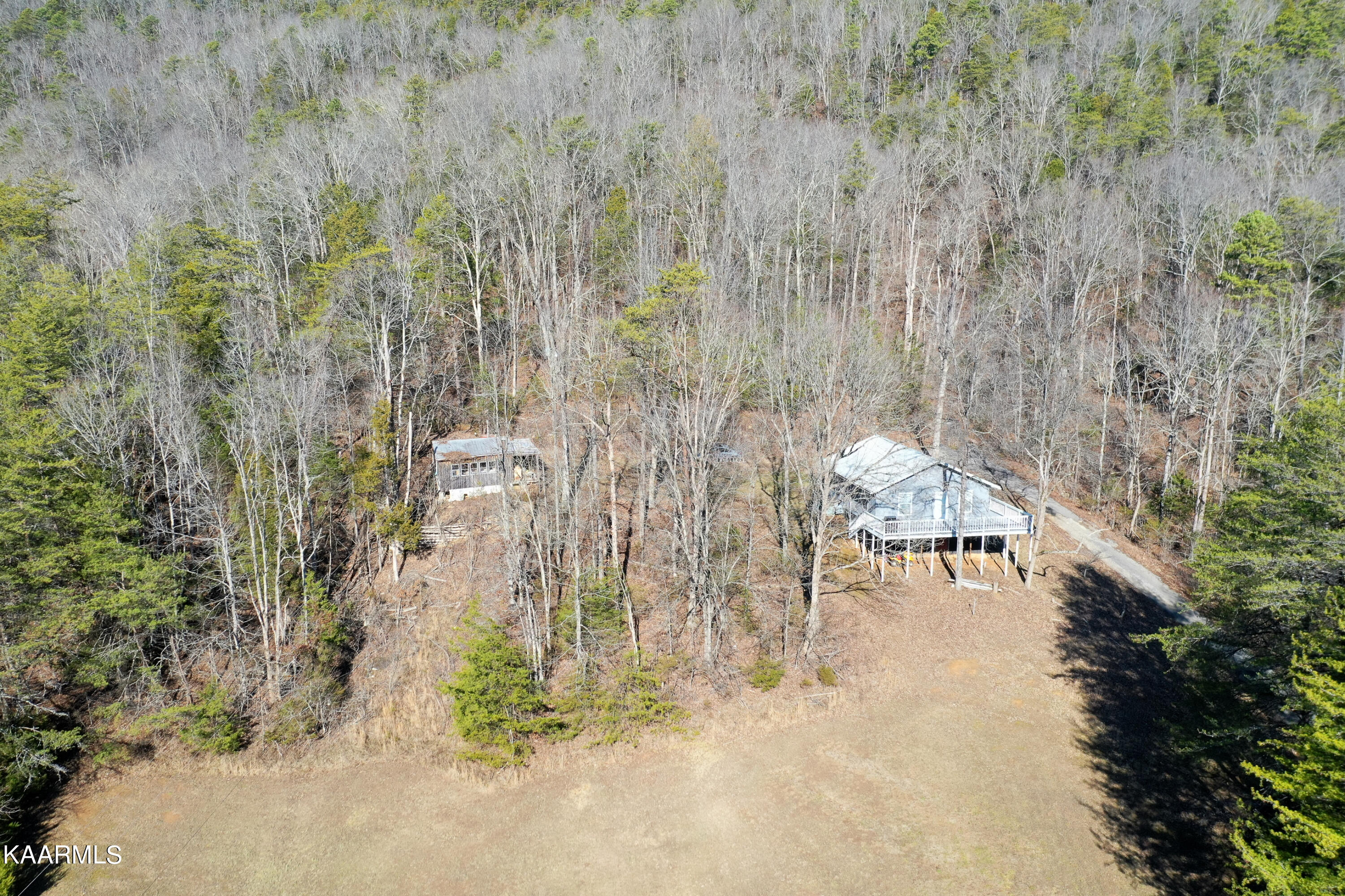 1495 Reagan Valley Road Tellico Plains, TN 37385 - Photo 9 of 26 1495 Reagan Valley
