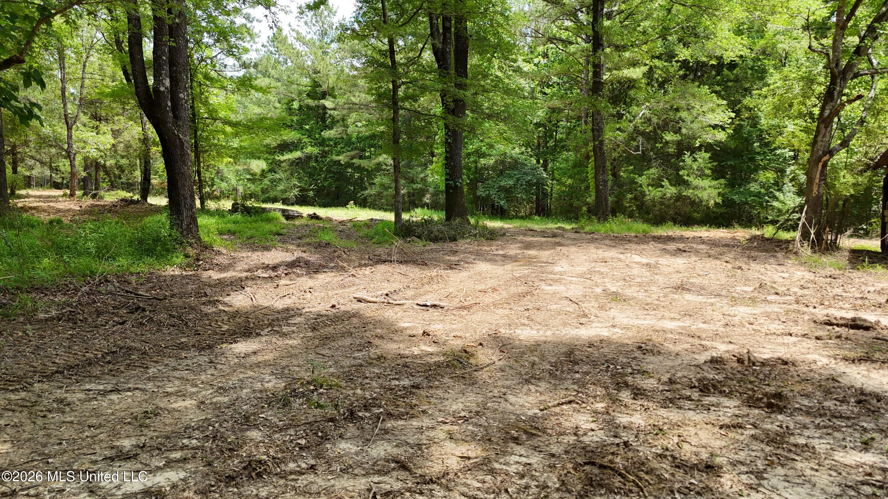 164 Potluck Road Canton, MS 39046 - Photo 7 of 25 dji_fly_20260519_124900_0812_17812852208