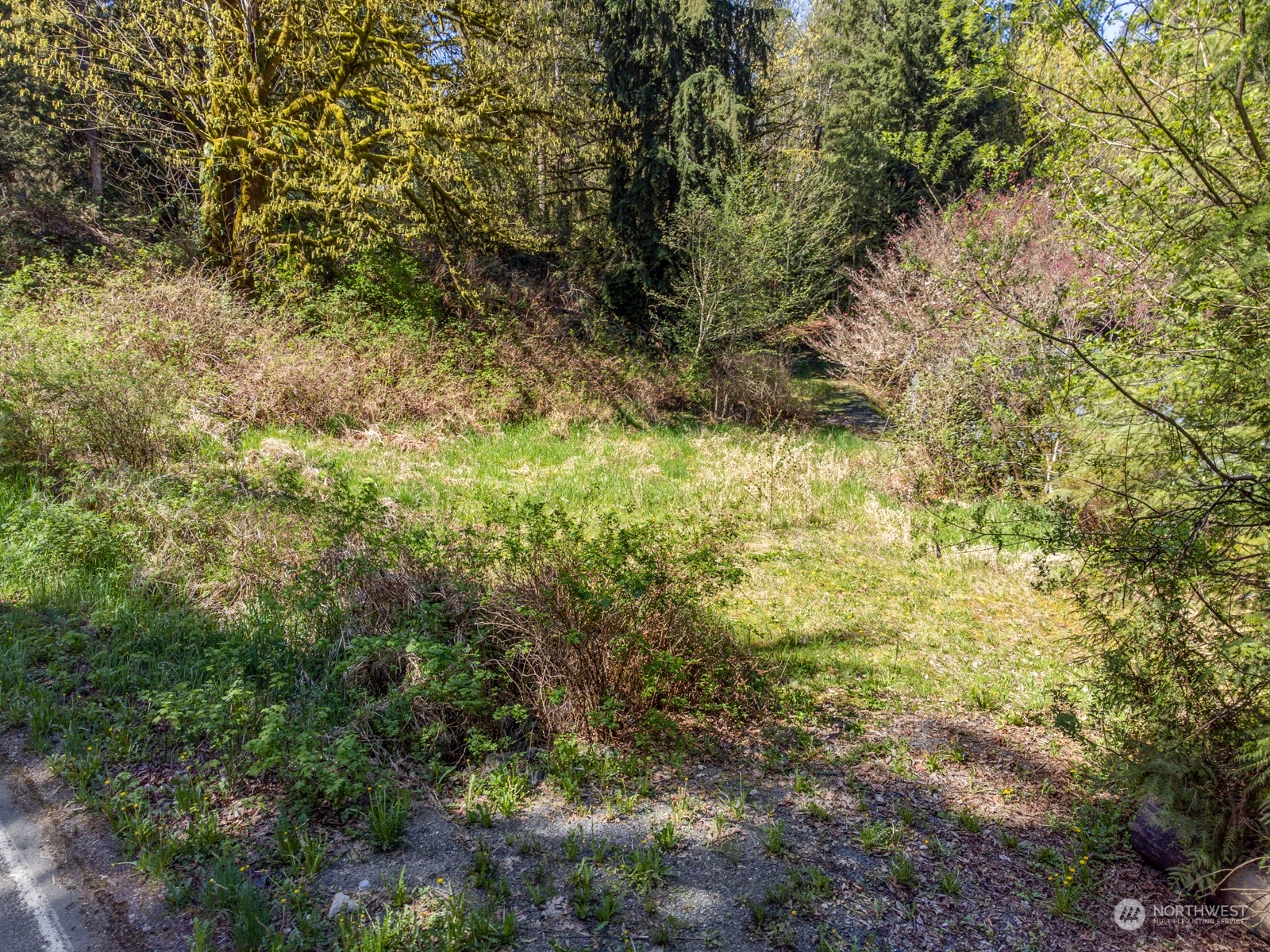 6232 Robe Menzel Road Granite Falls, WA 98252 - Photo 5 of 14