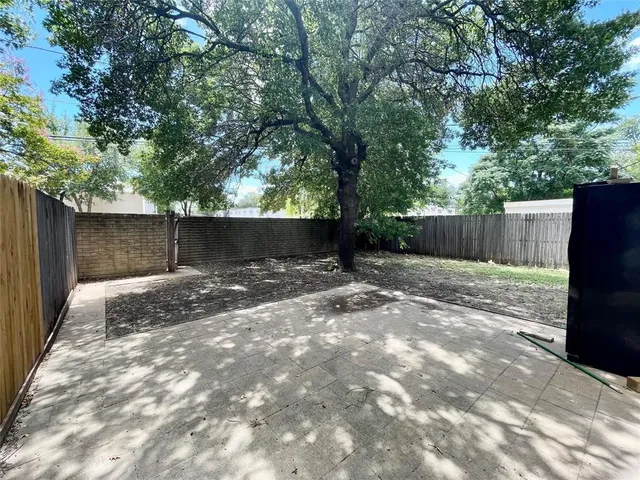 a view of a yard with plants and a large tree