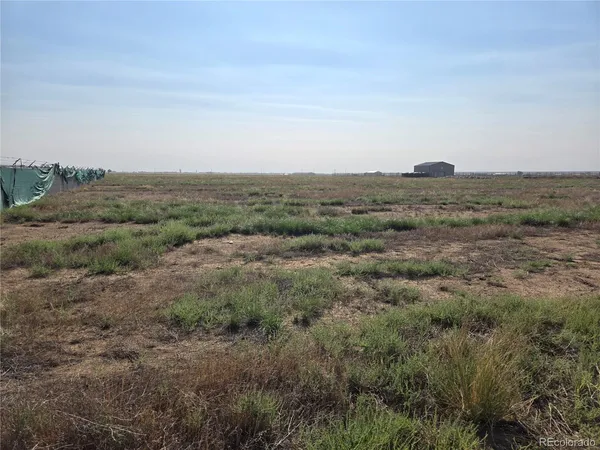 an aerial view of forest