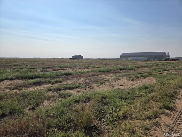a view of a field and trees