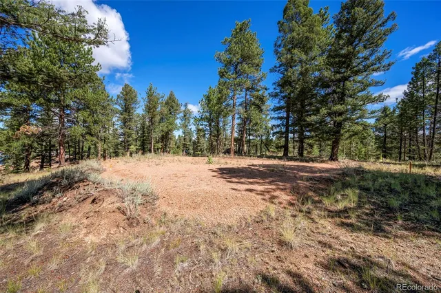 a view of road covered with trees