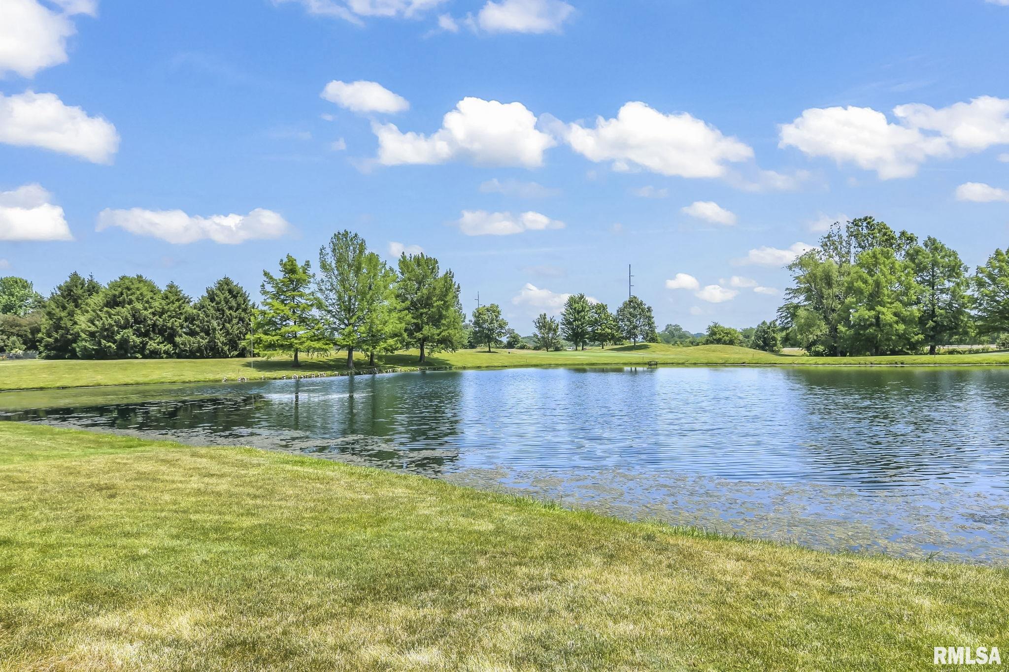 5200 Eagle Ridge Springfield, IL 62711 - Photo 65 of 99