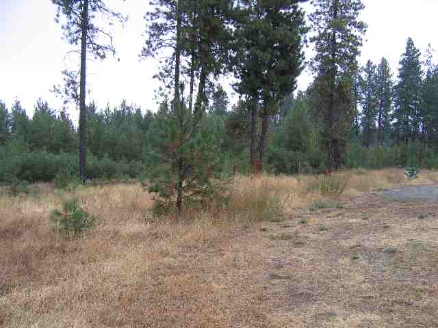 0 North Christensen Road Medical Lake, WA 99022 - Photo 3 of 9