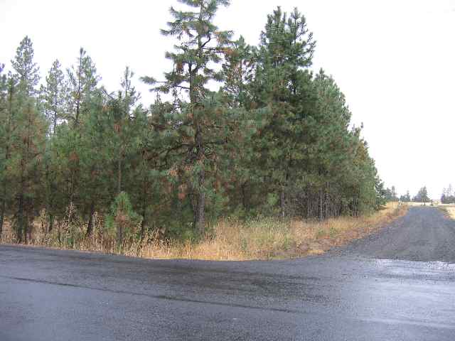 0 North Christensen Road Medical Lake, WA 99022 - Photo 5 of 9