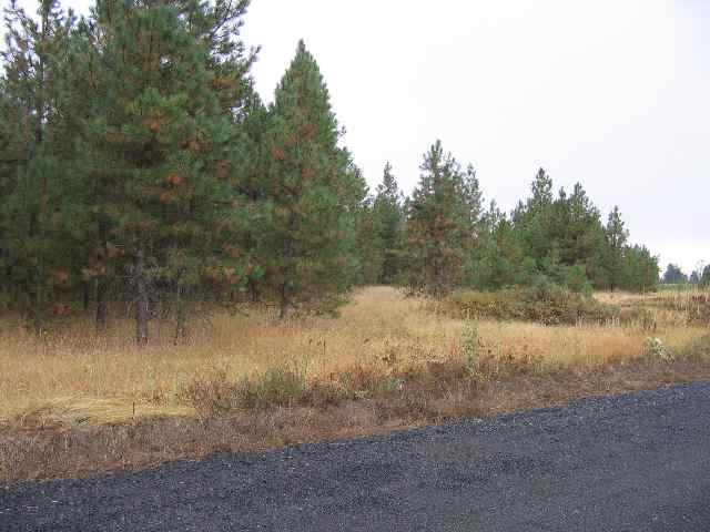 0 North Christensen Road Medical Lake, WA 99022 - Photo 6 of 9