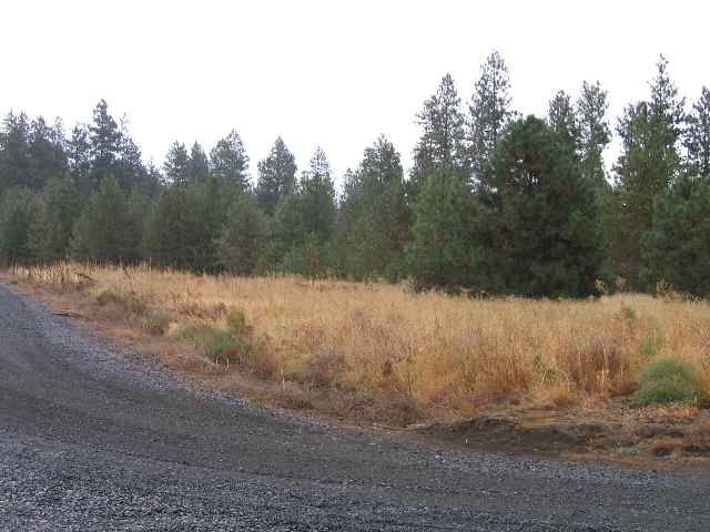 0 North Christensen Road Medical Lake, WA 99022 - Photo 7 of 9