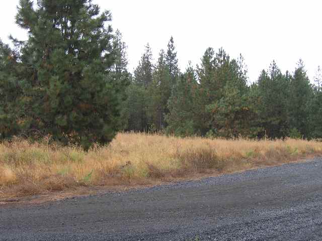 0 North Christensen Road Medical Lake, WA 99022 - Photo 8 of 9