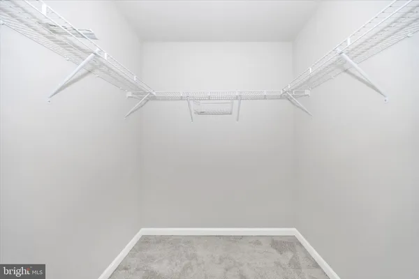 a bathroom with a shower curtain and a toilet