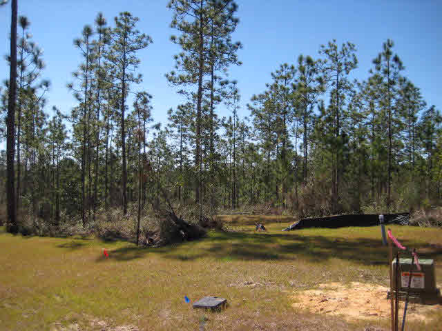 33733 Rutland Lane Daphne, AL 36527 - Photo 9 of 26 Nature in abundance