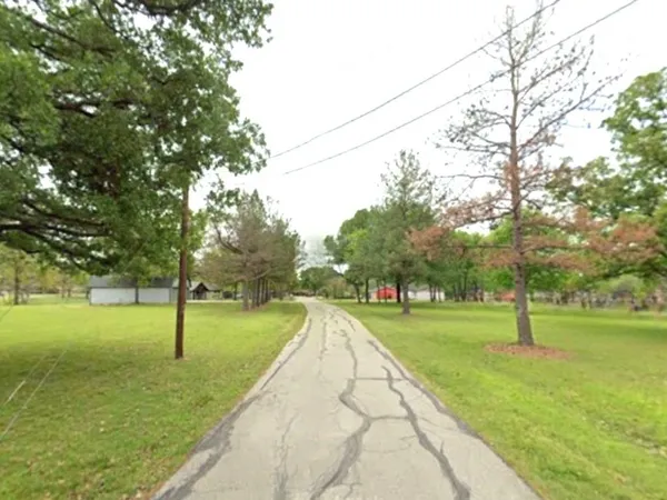 a view of a park with large trees