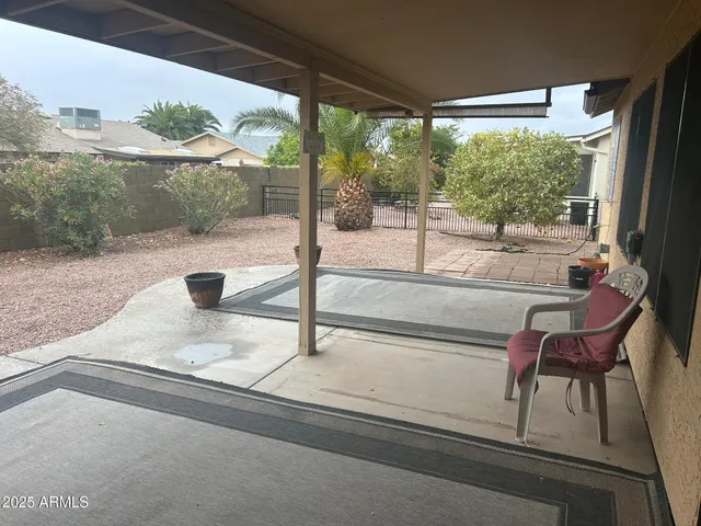 a view of backyard with a barn and a large cactus tree