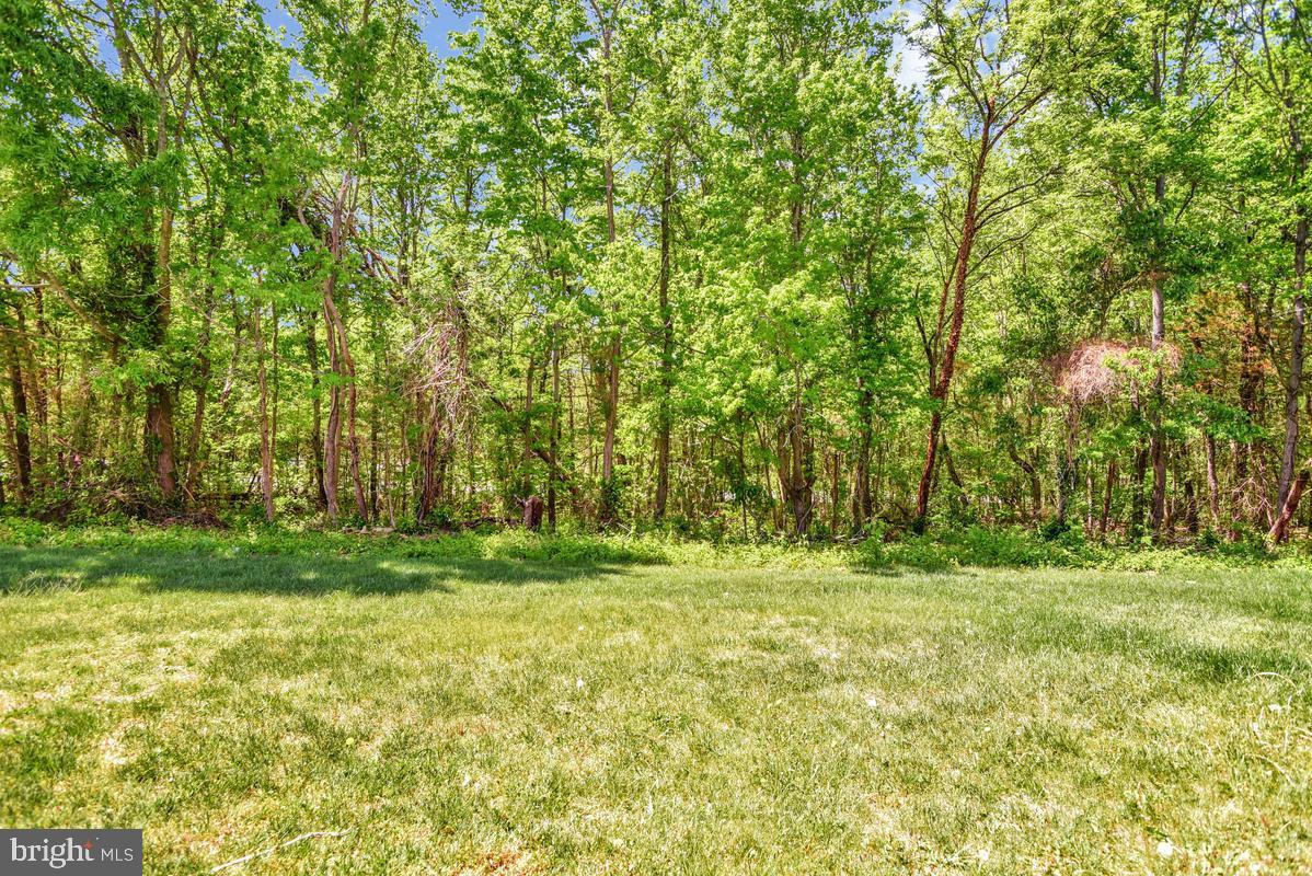 2134 Racquet Place Waldorf, MD 20601 - Photo 37 of 38 Backyard