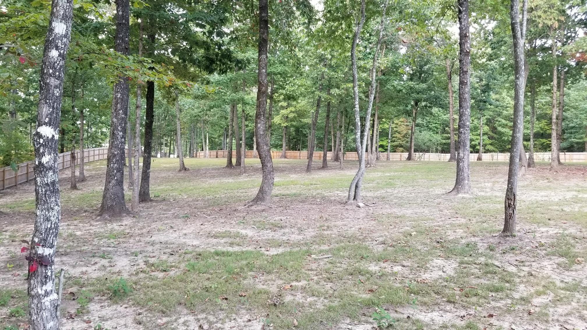 273 Family Road Dunlap, TN 37327 - Photo 47 of 58 20190913_174359_resized