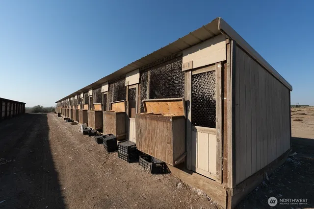 a view of a house with many windows and yard