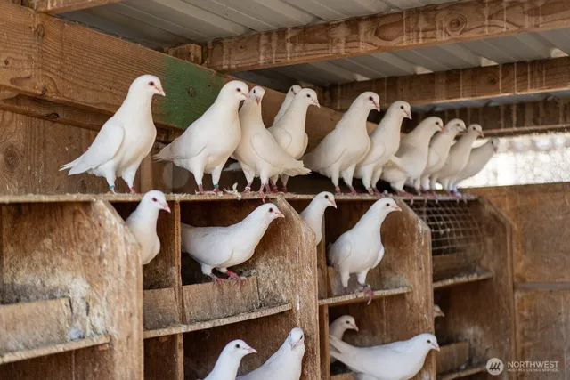 a close view of walk in closet
