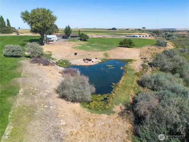 a view of a lake with beach and city view