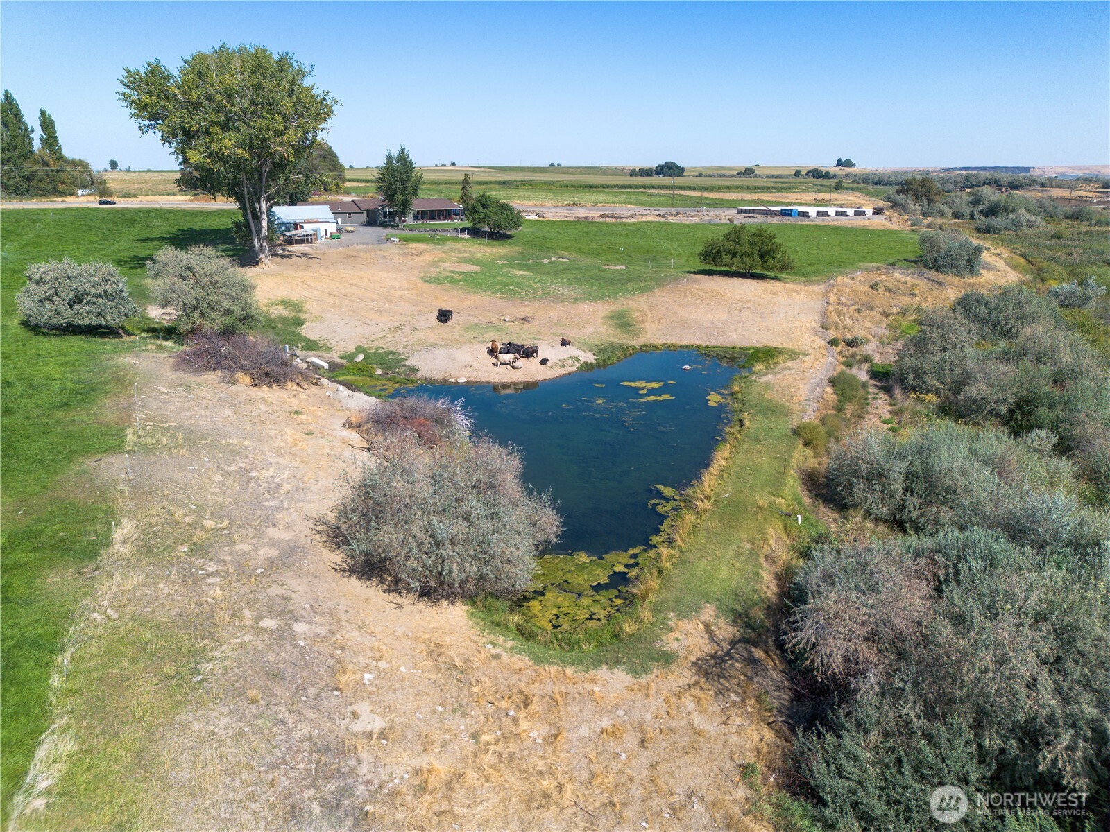 1461 Sheffield Road Mesa, WA 99343 - Photo 40 of 40 a view of a lake with beach and city view