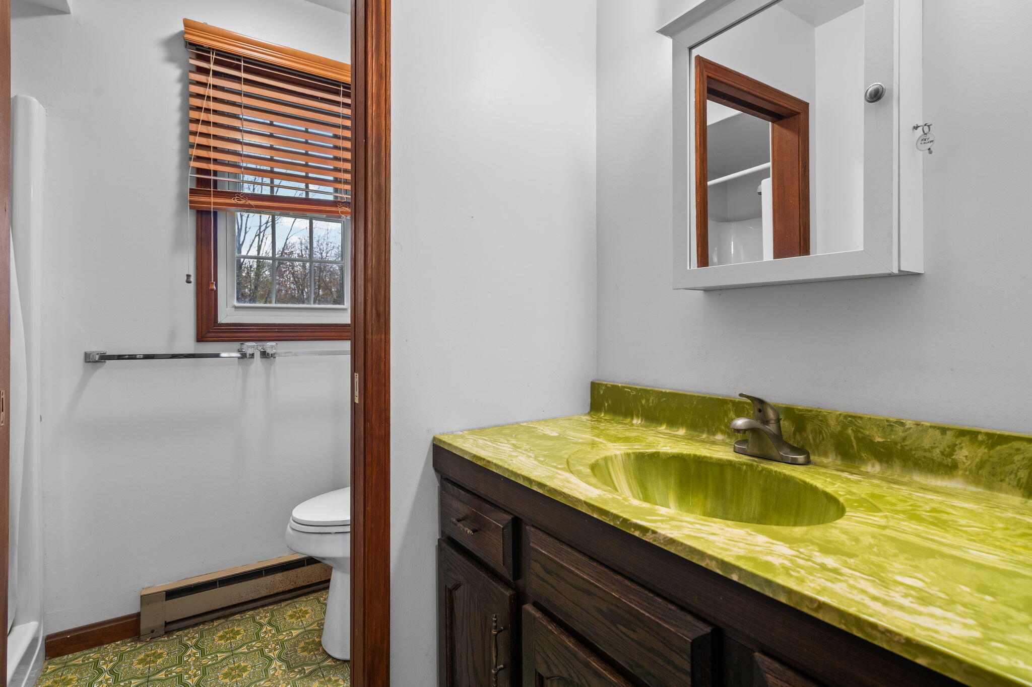 11781 Secor Road Petersburg, MI 49270 - Photo 22 of 79 20-web-or-mls-DSC01006