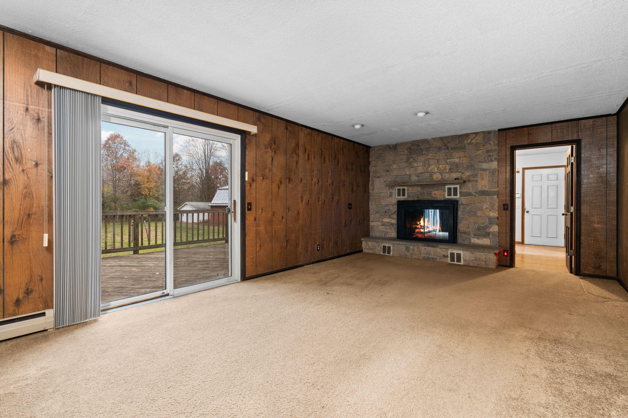 11781 Secor Road Petersburg, MI 49270 - Photo 24 of 79 22-web-or-mls-DSC01016