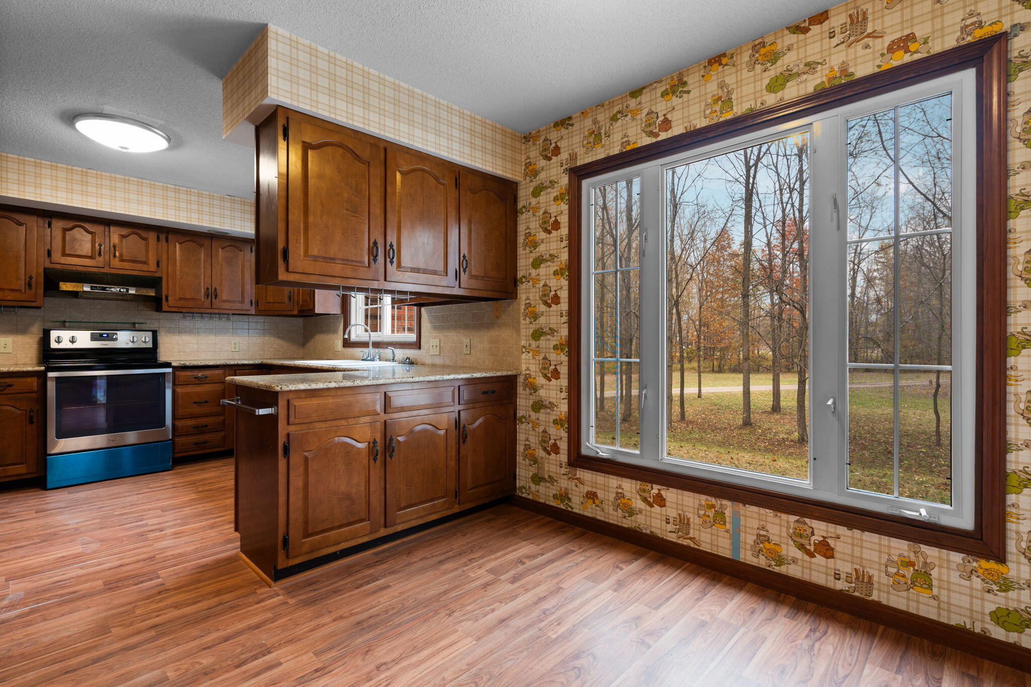 11781 Secor Road Petersburg, MI 49270 - Photo 34 of 79 32-web-or-mls-DSC01073