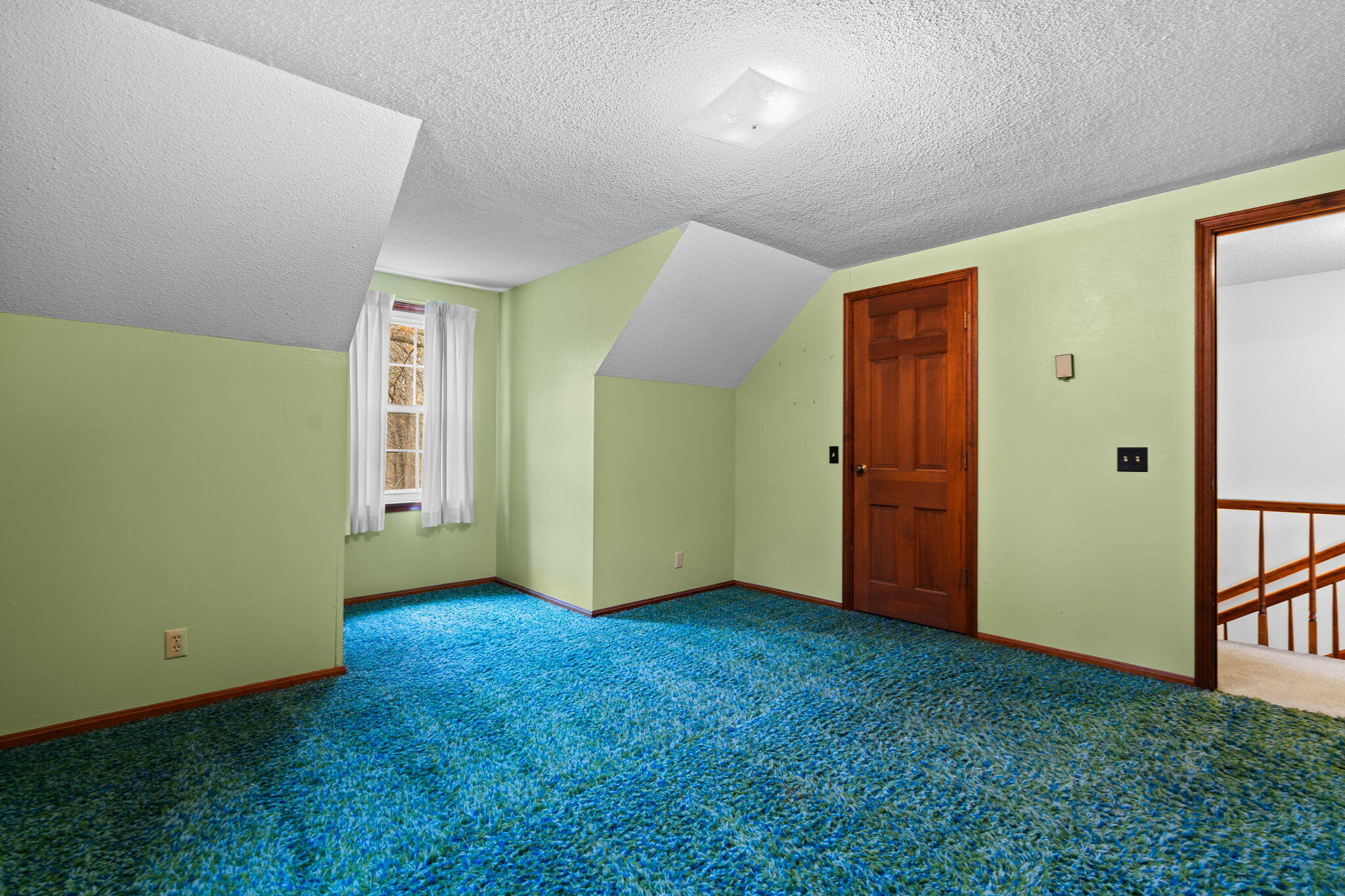 11781 Secor Road Petersburg, MI 49270 - Photo 41 of 79 39-web-or-mls-DSC01112