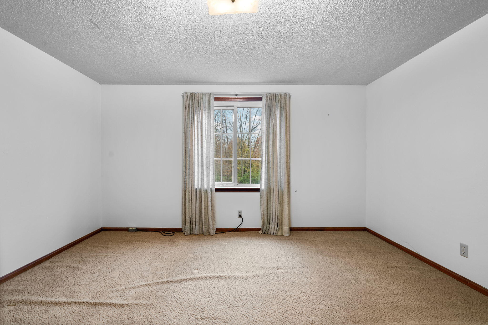 11781 Secor Road Petersburg, MI 49270 - Photo 43 of 79 41-web-or-mls-DSC01120