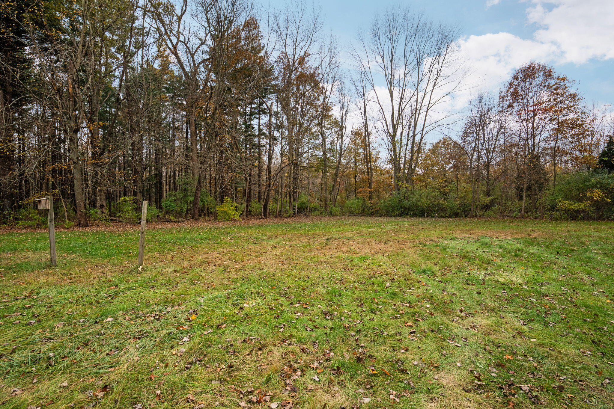 11781 Secor Road Petersburg, MI 49270 - Photo 57 of 79 55-web-or-mls-DSC01189