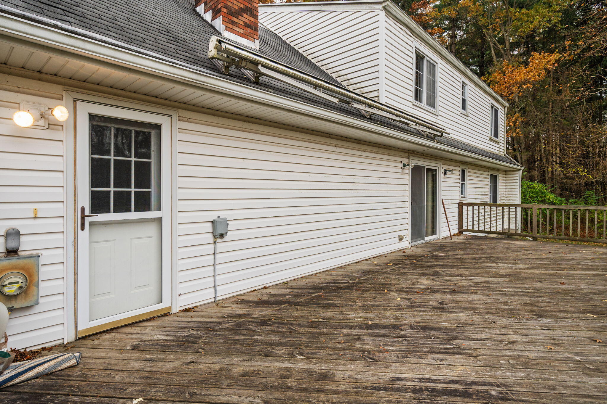 11781 Secor Road Petersburg, MI 49270 - Photo 62 of 79 60-web-or-mls-DSC01195