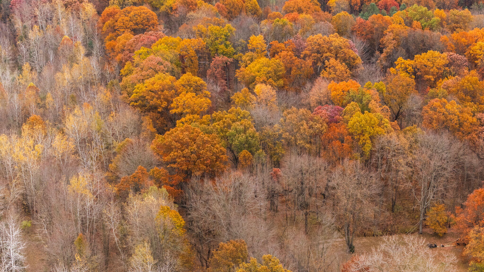 11781 Secor Road Petersburg, MI 49270 - Photo 9 of 79 7-web-or-mls-DJI_20251105132605_0132_D
