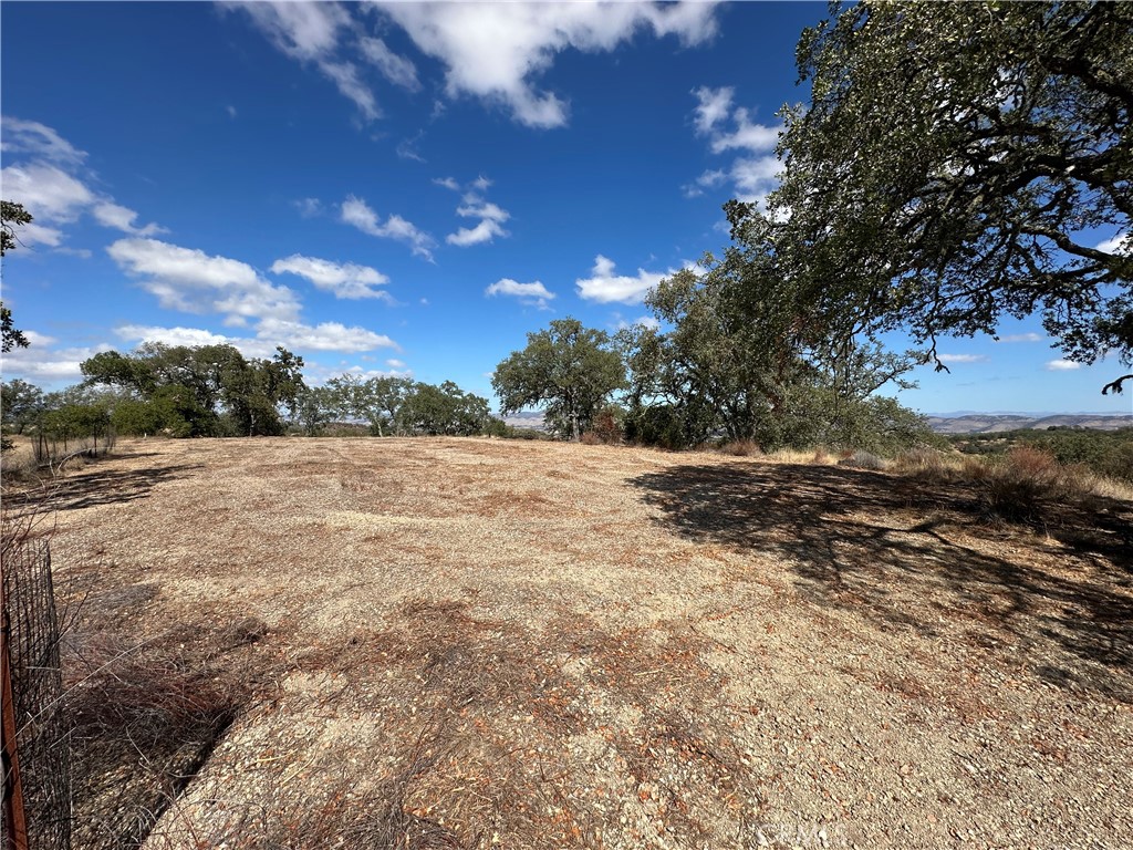 52721 Smith Road Bradley, CA 93426 - Photo 5 of 12 a view of a yard with a tree