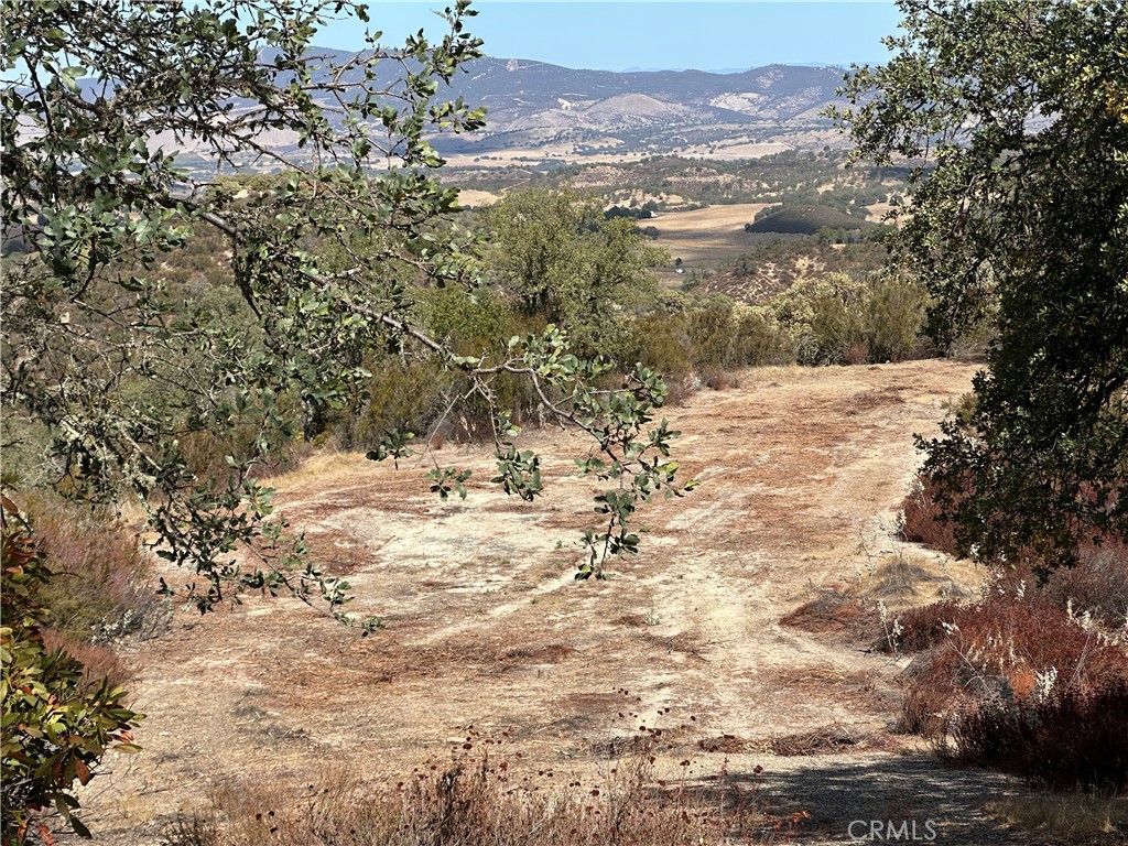 52721 Smith Road Bradley, CA 93426 - Photo 6 of 12 a view of a snow on the mountain