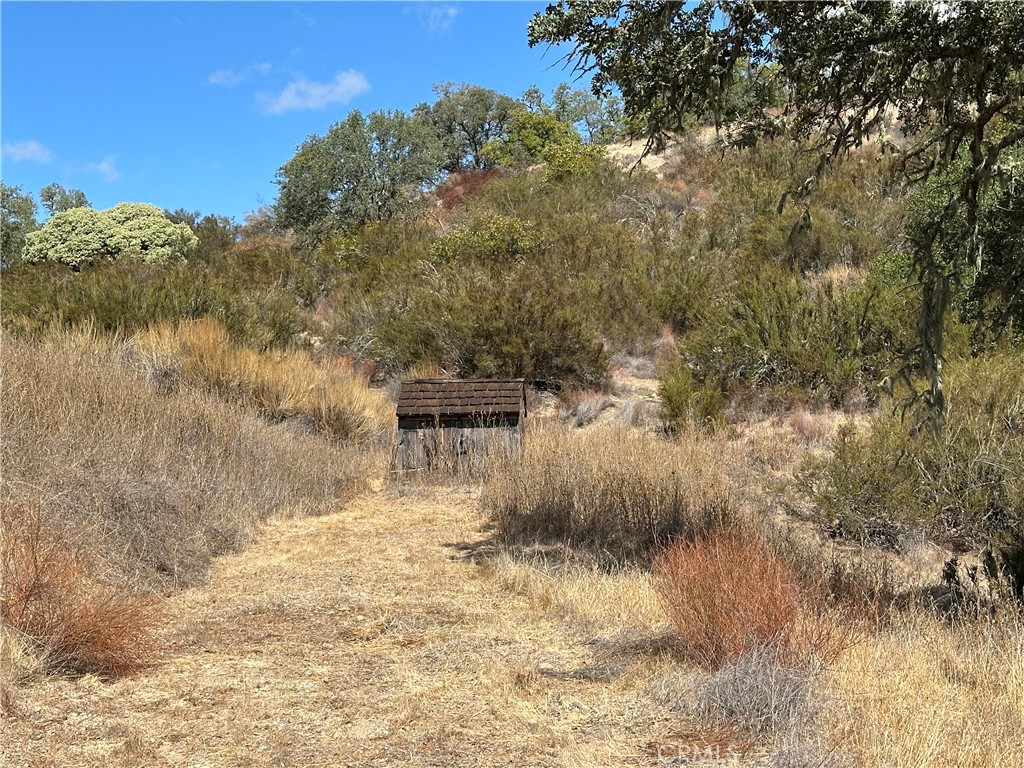52721 Smith Road Bradley, CA 93426 - Photo 8 of 12 a view of a yard of the house