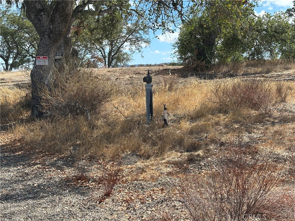 52721 Smith Road Bradley, CA 93426 - Photo 10 of 12 a view of tree next to a yard