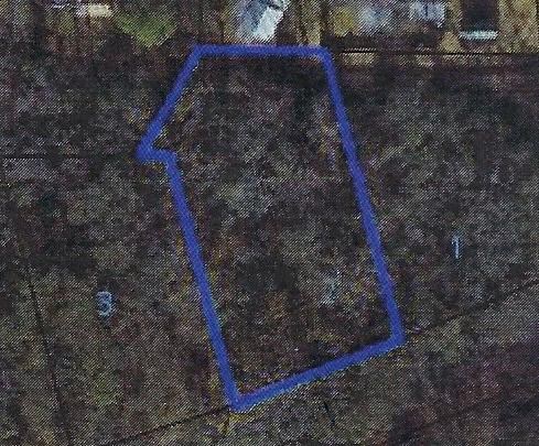 0 Coe Dairy Road Dothan, AL 36301 - Photo 2 of 2