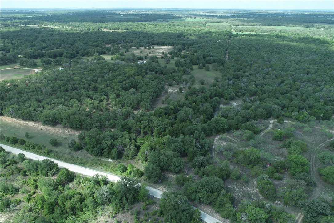 0 County Road 234 Road Milano, TX 76556 - Photo 4 of 9