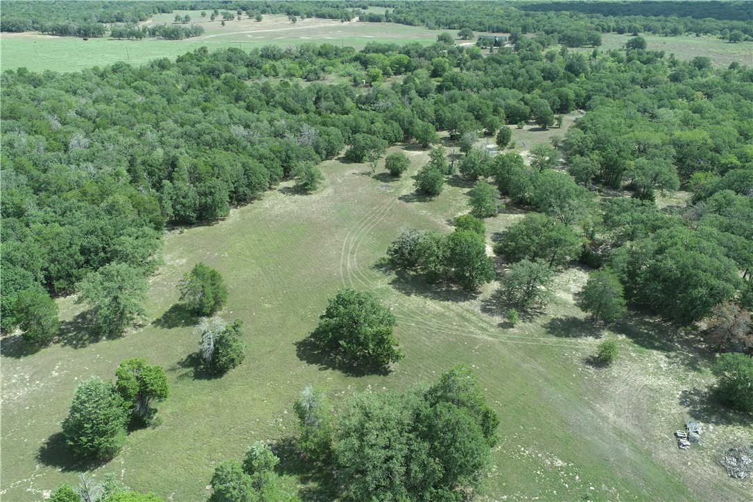 0 County Road 234 Road Milano, TX 76556 - Photo 6 of 9