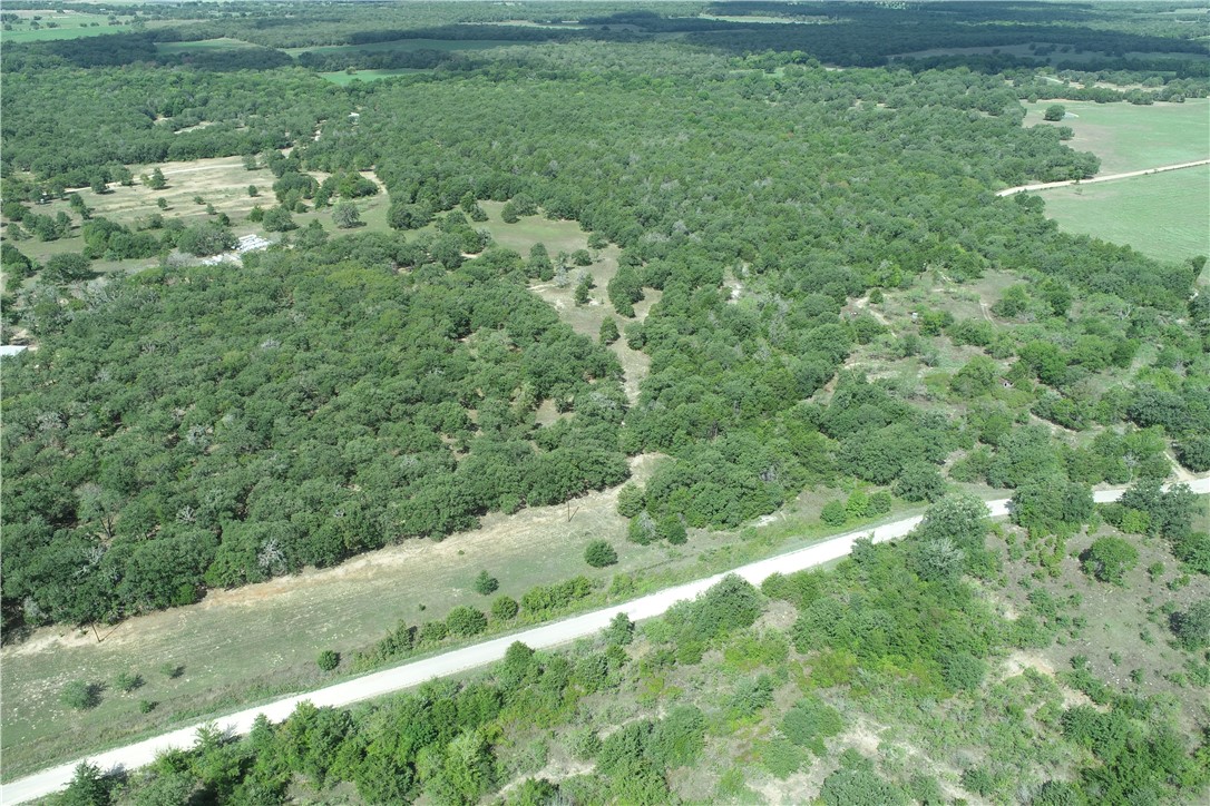 0 County Road 234 Road Milano, TX 76556 - Photo 8 of 9