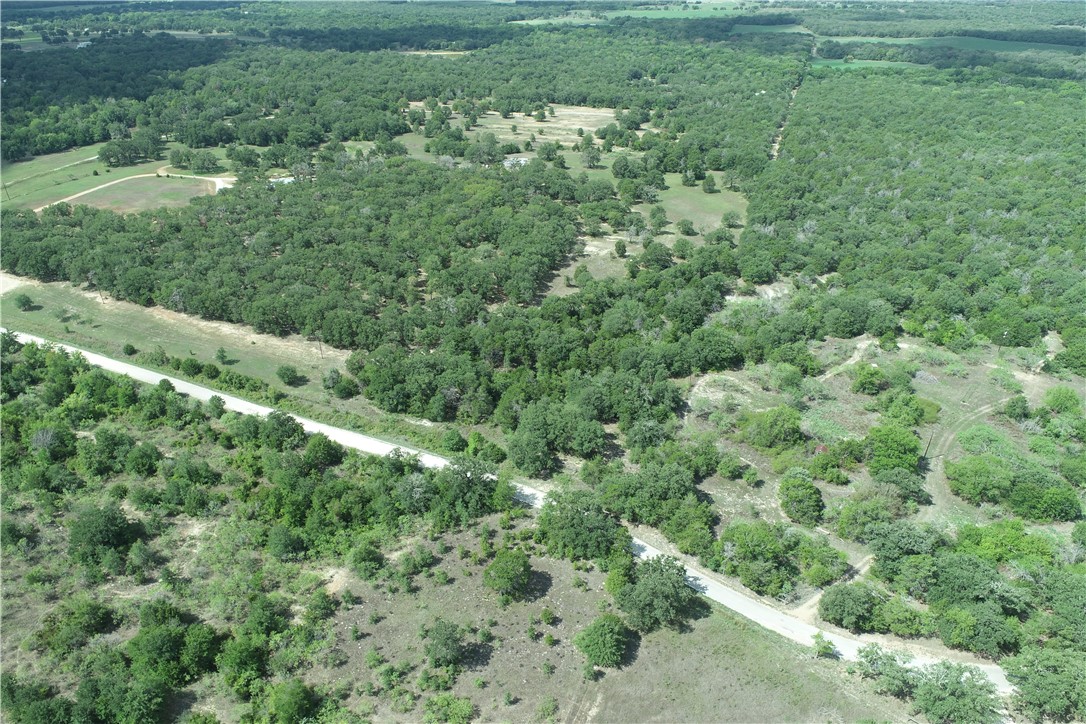 0 County Road 234 Road Milano, TX 76556 - Photo 9 of 9