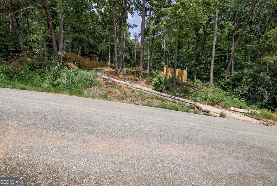 0 Cardinal Lane Toccoa, GA 30577 - Photo 6 of 7