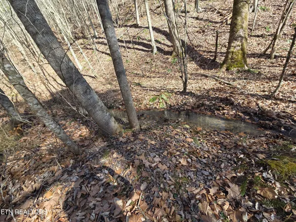 $89,900 | Baysinger Road, Newport, TN 37821
