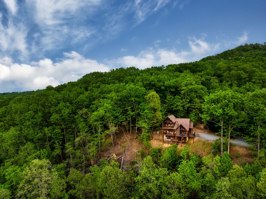 273 Deer Crest Heights Blue Ridge, GA 30513 - Photo 71 of 72 Gallery Image 71