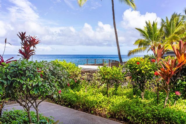 a view of a flower in a garden